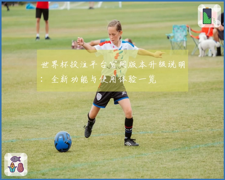 世界杯投注平台官网版本升级说明：全新功能与使用体验一览