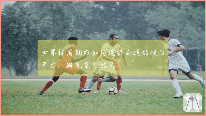 世界杯周期内如何选择合适的投注平台，避免常见的坑？