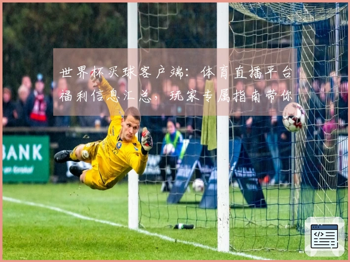 世界杯买球客户端：体育直播平台福利信息汇总，玩家专属指南带你玩转最新优惠！