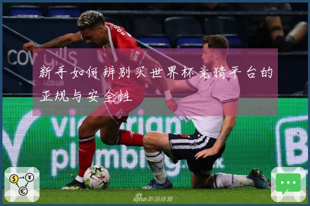 新手如何辨别买世界杯竞猜平台的正规与安全性