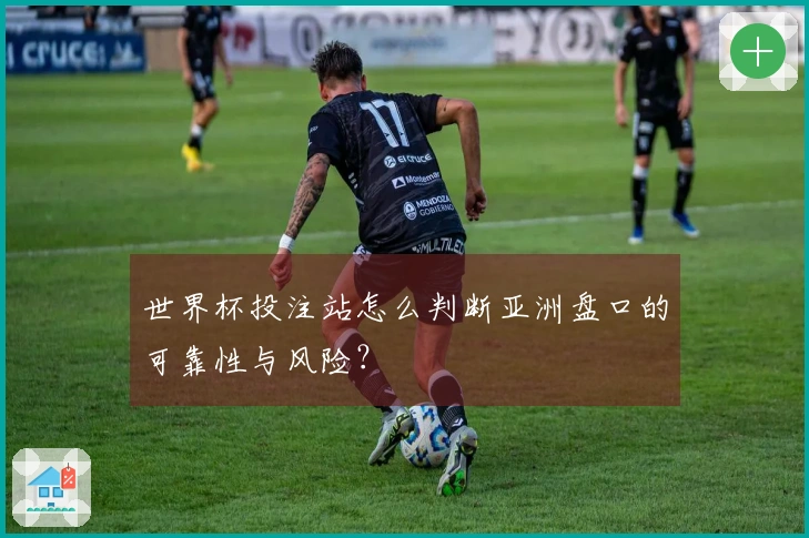 世界杯投注站怎么判断亚洲盘口的可靠性与风险？