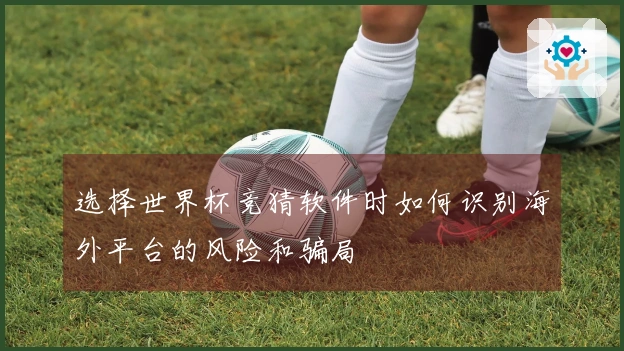 选择世界杯竞猜软件时如何识别海外平台的风险和骗局