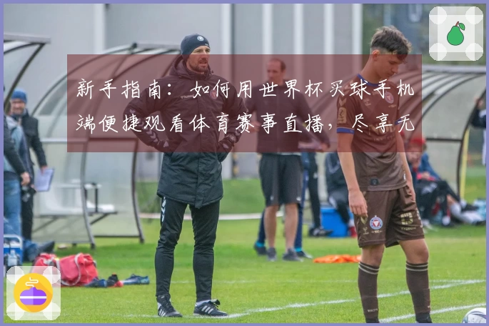 新手指南：如何用世界杯买球手机端便捷观看体育赛事直播，尽享无限精彩