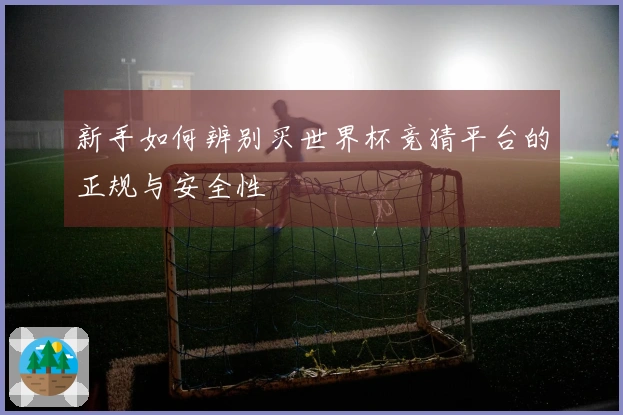 新手如何辨别买世界杯竞猜平台的正规与安全性